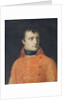 Napoléon Bonaparte, First Consul by Anne Louis Girodet de Roucy-Trioson