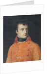 Napoléon Bonaparte, First Consul by Anne Louis Girodet de Roucy-Trioson