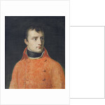 Napoléon Bonaparte, First Consul by Anne Louis Girodet de Roucy-Trioson