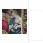 Tapestry depicting the Acts of the Apostles, the Death of Ananias by Raphael (1483-1520) (after)