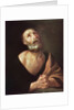 The Tears of Saint Peter by Diego Rodriguez de Silva y Velazquez