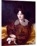 Portrait of Suzanne Clarisse de Salvaing de Boisseiu, Madame Marcotte de Sainte-Marie, 1826 by Jean Auguste Dominique Ingres