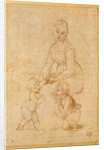 Study of the Virgin for 'La Belle Jardinière' by Raphael
