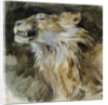 The Head of a Lion by Ferdinand Victor Eugene Delacroix