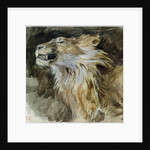 The Head of a Lion by Ferdinand Victor Eugene Delacroix