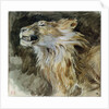 The Head of a Lion by Ferdinand Victor Eugene Delacroix