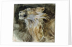 The Head of a Lion by Ferdinand Victor Eugene Delacroix