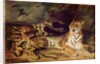 Young tiger playing with his mother, 1830 by Ferdinand Victor Eugene Delacroix