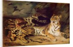 Young tiger playing with his mother, 1830 by Ferdinand Victor Eugene Delacroix