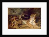 Young tiger playing with his mother, 1830 by Ferdinand Victor Eugene Delacroix