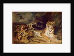 Young tiger playing with his mother, 1830 by Ferdinand Victor Eugene Delacroix