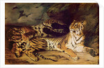 Young tiger playing with his mother, 1830 by Ferdinand Victor Eugene Delacroix