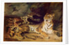 Young tiger playing with his mother, 1830 by Ferdinand Victor Eugene Delacroix
