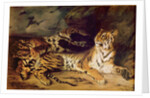 Young tiger playing with his mother, 1830 by Ferdinand Victor Eugene Delacroix