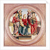 Madonna and Child with St. Rose and Catherine of Alexandra by Pietro Perugino