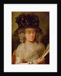 Portrait of the thought to be Duchess of Benaventa by Francisco Jose de Goya y Lucientes