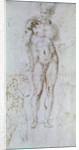 Study for Apollo standing nude with a cloak draped over his shoulders and the figure of a man carrying a burden by Michelangelo Buonarroti