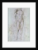 Study for Apollo standing nude with a cloak draped over his shoulders and the figure of a man carrying a burden by Michelangelo Buonarroti