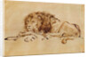 Lion Resting by Rembrandt Harmensz. van Rijn