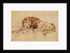 Lion Resting by Rembrandt Harmensz. van Rijn