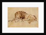 Lion Resting by Rembrandt Harmensz. van Rijn