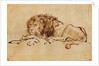 Lion Resting by Rembrandt Harmensz. van Rijn