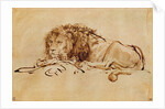 Lion Resting by Rembrandt Harmensz. van Rijn