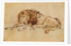 Lion Resting by Rembrandt Harmensz. van Rijn