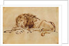 Lion Resting by Rembrandt Harmensz. van Rijn