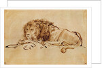 Lion Resting by Rembrandt Harmensz. van Rijn