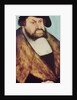 Portrait of John the Constant of Saxony by Lucas the Elder Cranach