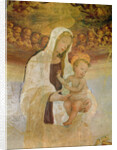 The Virgin and Child, 15th century by Filippino Lippi