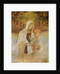 The Virgin and Child, 15th century by Filippino Lippi