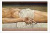 The Body of the Dead Christ by Hans Holbein the Younger