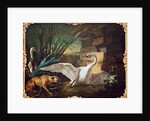 Dog and Swans by Jean-Baptiste Oudry