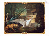 Dog and Swans by Jean-Baptiste Oudry