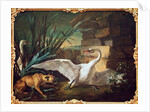 Dog and Swans by Jean-Baptiste Oudry