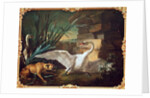 Dog and Swans by Jean-Baptiste Oudry