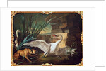 Dog and Swans by Jean-Baptiste Oudry