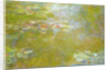Nymphéas by Claude Monet