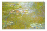 Nymphéas by Claude Monet