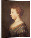 Portrait of a Woman by Rembrandt Harmensz. van Rijn
