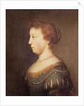 Portrait of a Woman by Rembrandt Harmensz. van Rijn