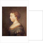 Portrait of a Woman by Rembrandt Harmensz. van Rijn