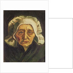 Head of a Dutch Peasant by Vincent van Gogh