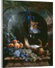 Still Life with Dead Game in a Marble Niche, 1706 by Alexandre-Francois Desportes