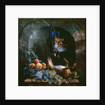 Still Life with Dead Game in a Marble Niche, 1706 by Alexandre-Francois Desportes