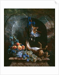 Still Life with Dead Game in a Marble Niche, 1706 by Alexandre-Francois Desportes