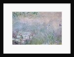 Waterlilies, c.1910 by Claude Monet