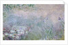 Waterlilies, c.1910 by Claude Monet